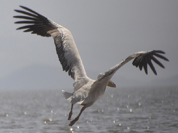 Screenshot 2025-09-05 170103